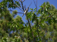 img_5025.jpg